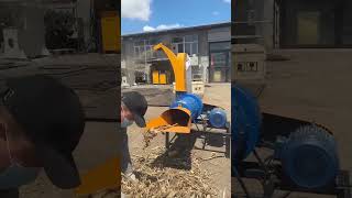 Dry And Wet Dual Purpose Chopping And Shredding Machine