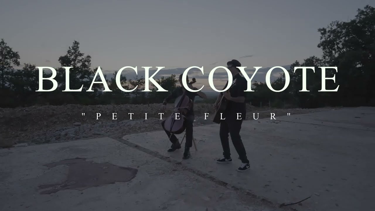 Black Coyote - Petite Fleur (Version Acoustique)