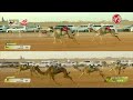 ش 4 سيف الحول المفتوح الهابه لـ هجن الشحانية 12 17 19 مهرجان خادم الحرمين 2026 2 1 الجنادرية 