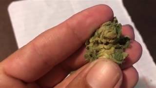 Blue Dream $28 1/8th Liberty Health Science Florida Medical Marijuana Review