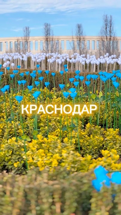 Краснодар Погода парк Галицкого #краснодар #погода #паркгалицкого - YouTube