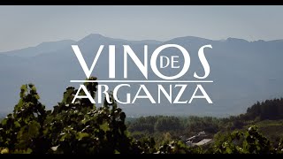 La vendimia en Vinos de Arganza, 2020.