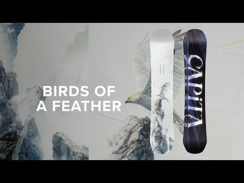 使用5回　CAPiTA BIRD OF A FEATHER 144 CAPITA Birds Of A Feather Womens Snowboard - MULTI - 144 | Tillys