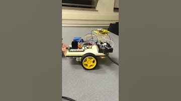 Small Scale Prototype of A Self Balancing Two Wheeled Vehicle!