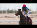RM 26 Al Rayyan Race 3 H.H The Amir Sword and Trophy