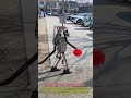 Folk cowboys make their own robots to pull carts #wonder #clever #methods #diy #skills