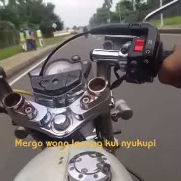 Story wa dadi wong lanang ojo wedi ireng.wes ngono wae