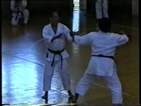Каратэ кихон JKA
