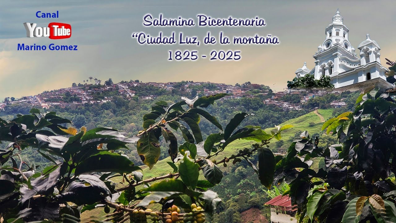 Salamina Bintenaria - 
