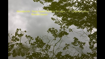 Shostakovich : String Quartet No.10  -  II. Allegretto furioso