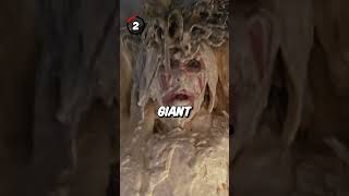 Did You Know In 102 Dalmatians