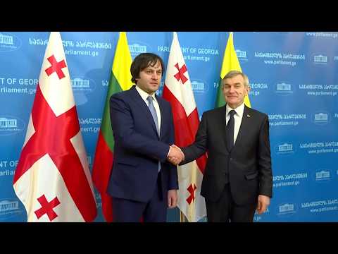 ირაკლი კობახიძის შეხვედრა ლიეტუვას რესპუბლიკის სეიმის სპიკერთან