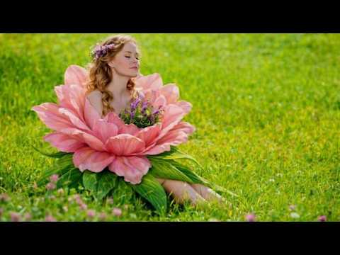 SPRING, SUMMER, WINTER AND FALL  -  (LIVE)  -  APHRODITE'S CHILD  -  (1970)  [4K]