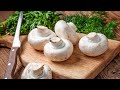 5 блюд с шампиньонами на все вкусы. Рецепты от Всегда Вкусно!