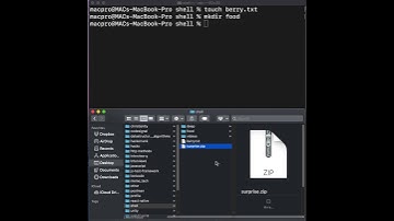 TERMINAL - Create or Move Files and Directories #shorts