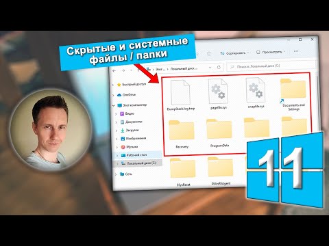 100 способы: как показать скрытые папки и файлы в Windows 11