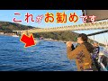 近海ジギング最初の1本はコレを買ってください