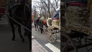 Экскурсия по городу в карете. Санкт-Петербург