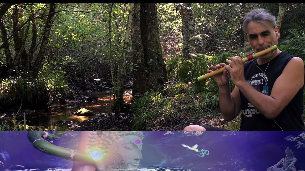 Musique de méditation de l'eau (Le ruisseau) : flûte indienne carnatique 
