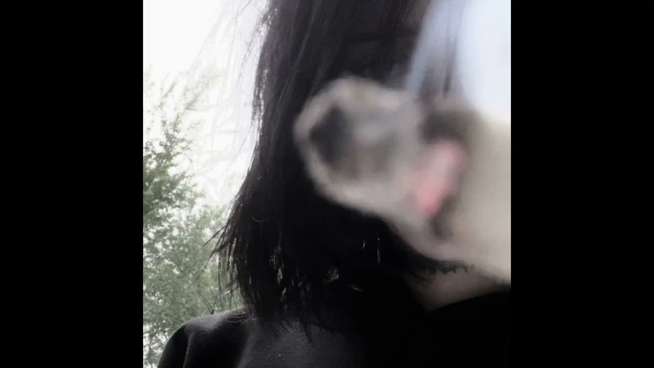 [FREE] BONES Type Beat - 