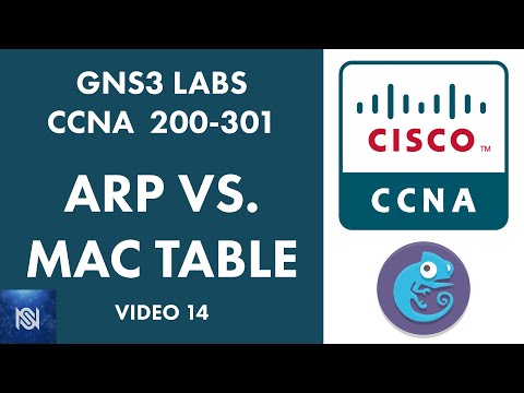The Difference Between ARP and the MAC Table - Video 14 GNS3 Labs for CCNA