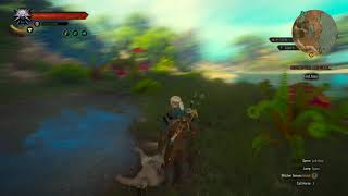 Witcher 3 complete Toussaint Heavy Armor set( Following the light)