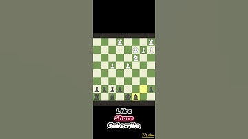 My Chess Game as a Beginner Part 7 #chess #chessgame #newbie #chessplayer #chessnewbie #chesscom