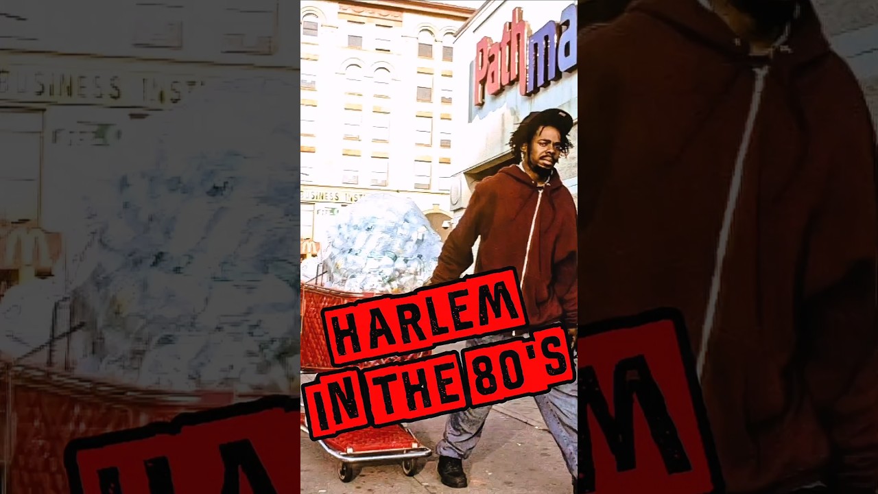 Joe Rogan On Harlem, New York. JRE Podcast.