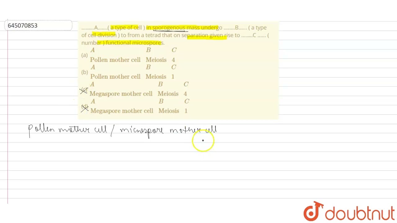 .........A.......( a type of cell ) in sporogenous mass undergo ........B...... ( a type of cell...