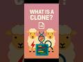 Cloning: Copy-Paste in Biology#CloningExplained #BioCopyPaste #NEETPrep #GeneticTwins #ScienceShorts