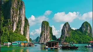 🇻🇳 Vietnamese Traditional Music 🎵 20 Minutes🕒