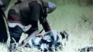 Amon Amarth - Twilight Of The Thunder God (TRAILER)