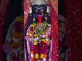 Kali Mata Jhansi 2025 "Maha Aarti Jhansi #shortvideo #kalimaa #viralvideo #navratrispecial #matarani