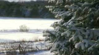 El Trono De Mexico-Almas Gemelas screenshot 3