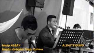 Necip ALBAY-İneyim Gideyim Tozlu Yollara 2015 Resimi