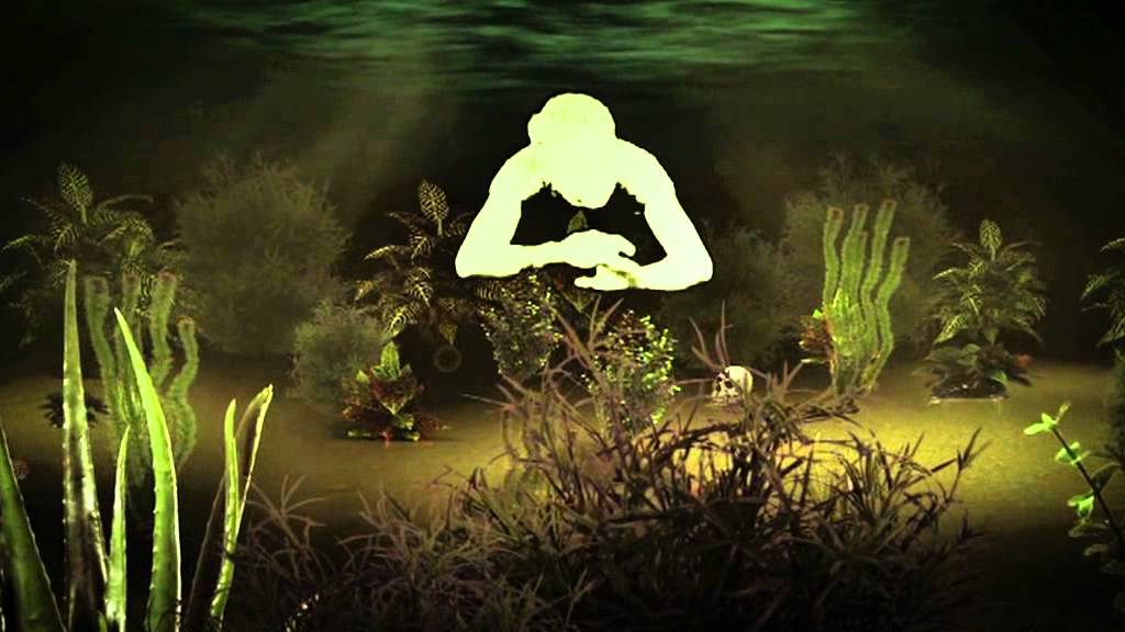 יואב פלוטקין - אנימציה - ויצו חיפה