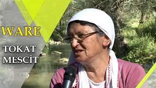 Ma Hestanê Maya Xetîca Ra Kilamêke Seyrkerê / Bigoştarê