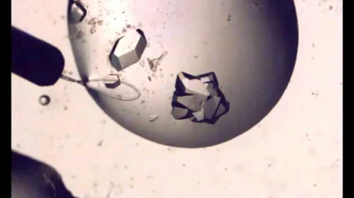 Protein Crystal Examination and Pickup Tutorial