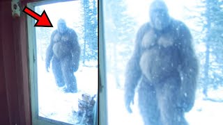 Clearest BIGFOOT Footage Leaves Wildlife Experts SHOCKED – Watch Before It’s Removed!