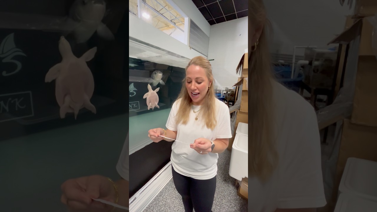 Shake hands trend at Predatory Fins #aquarium #work #workhard