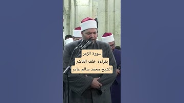 #روائع #التراويح من #رمضان الشيخ محمد سالم عامر يتلو من سورة الزمر #اكسبلور #تيك_توك #لايك #مصر
