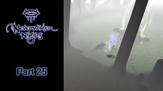 Chapter 2: The Spirit of the Wood | Neverwinter Nights OC 25