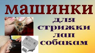 Груминг: стрижка #лап собак под машинку Груминг: стрижка #лап собак под машинку