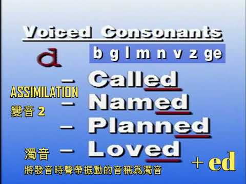 劉家傑 100ls 英語拼音 變音2 D 音尾 Assimilation 子音 濁輔音voiced Consonants Ipa音標 Dj音標 Daniel Jones Phonetic Youtube