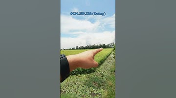 15 Công Đất Lúa Mặt Tiền Cách QLN2 Chỉ 50m | 750tr/Công!