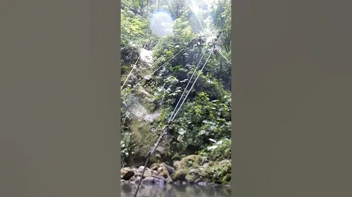 Costa Rica monkey drop