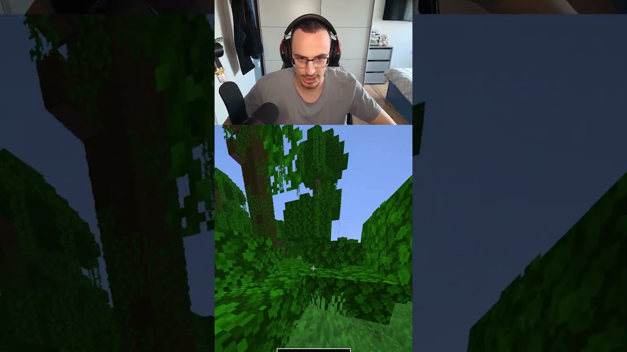 Minecraft Speedrun Random Blok #2
