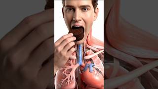 Cake Inside Stomach Shocking Visual