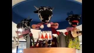 Hoogvliet Koeienlied