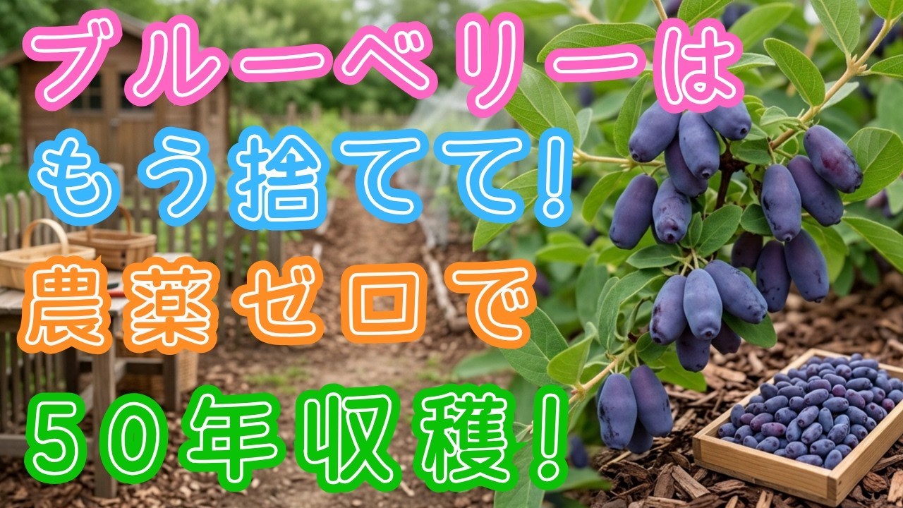 99% of Home Gardeners Don't Know This] Forget Blueberries! You'll